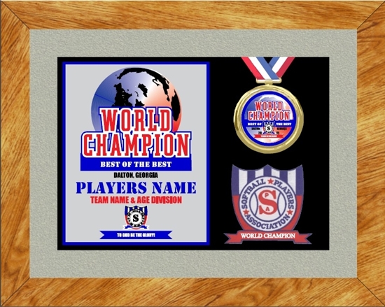 Picture of World Champion Custom Frame Award