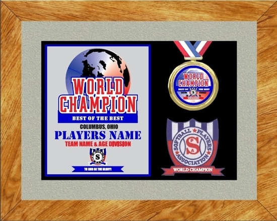 Picture of World Champion Custom Frame Award